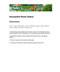 Instructions for Houseplant Sticky Stakes